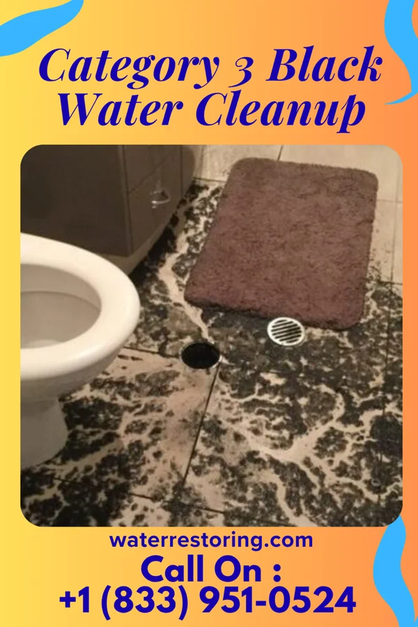 Category 3 Black Water Cleanup in Arivaca Junction, AZ