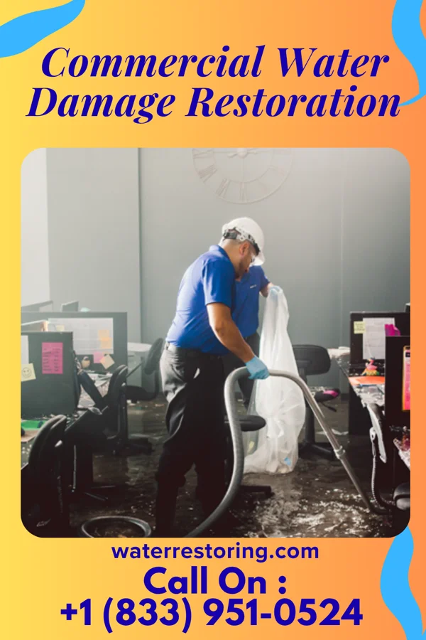 Commercial Water Damage Restoration in Arivaca Junction, AZ